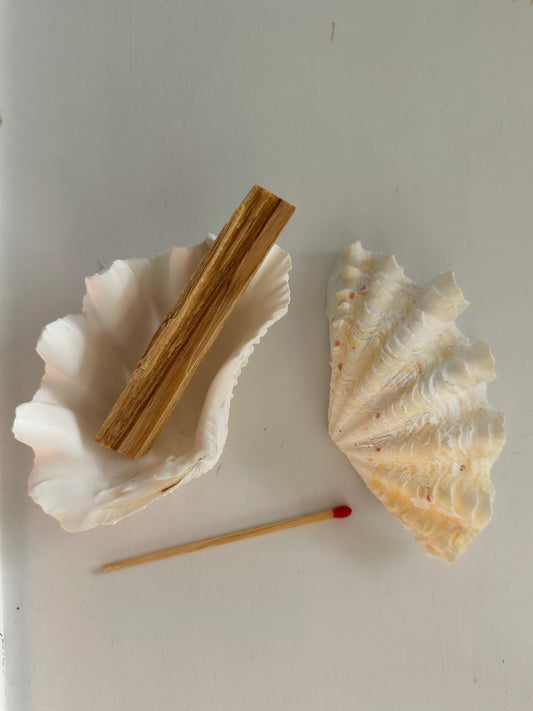 Bénitier palo santo